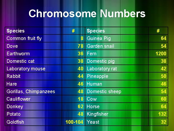 Chromosome Numbers Species Common fruit fly # Species # 8 Guinea Pig 64 Dove