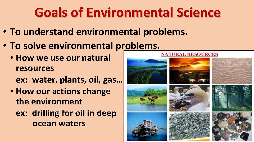 Goals of Environmental Science • To understand environmental problems. • To solve environmental problems.