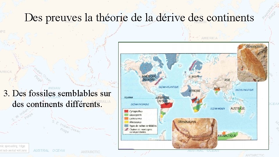Des preuves la théorie de la dérive des continents 3. Des fossiles semblables sur