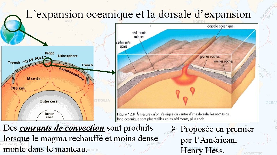 L’expansion oceanique et la dorsale d’expansion Des courants de convection sont produits lorsque le
