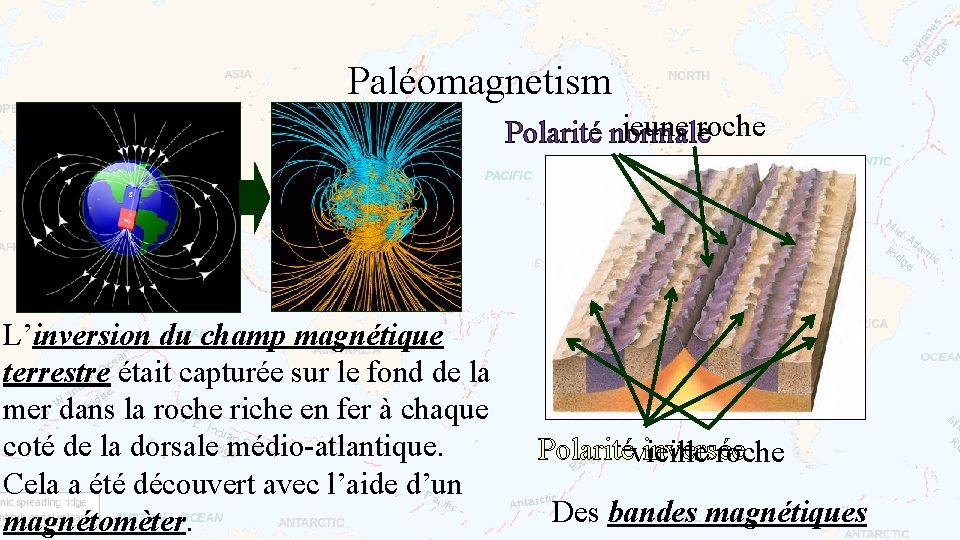 Paléomagnetism jeune roche Polarité normale L’inversion du champ magnétique terrestre était capturée sur le