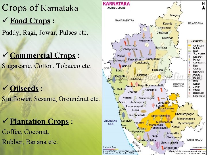 Crops of Karnataka ü Food Crops : Paddy, Ragi, Jowar, Pulses etc. ü Commercial