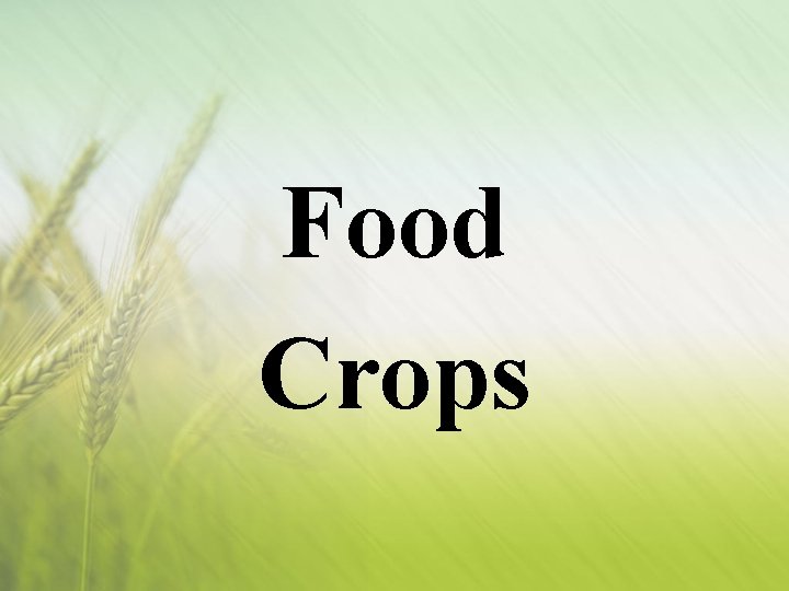 Food Crops 