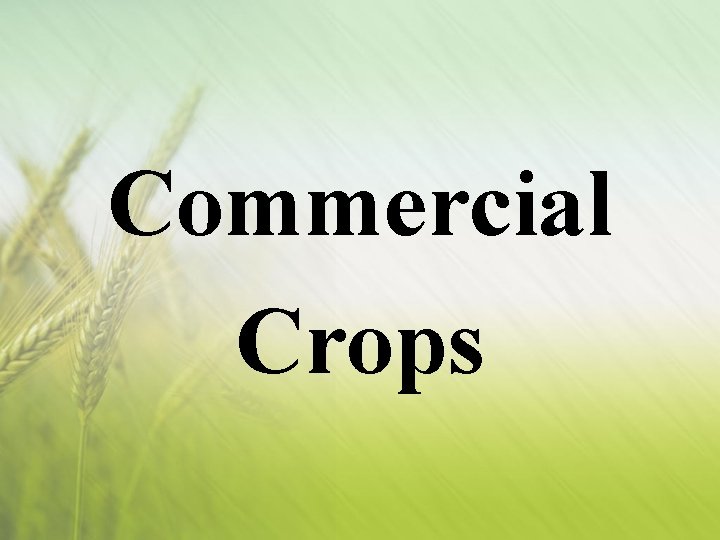 Commercial Crops 