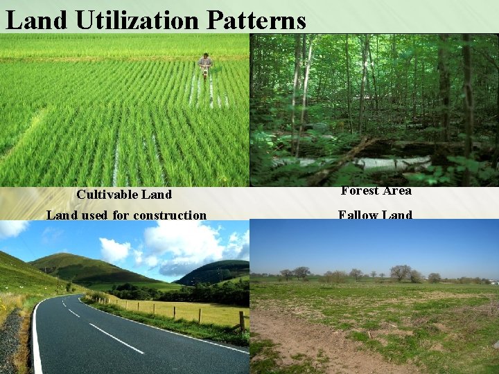 Land Utilization Patterns Cultivable Land used for construction Forest Area Fallow Land 