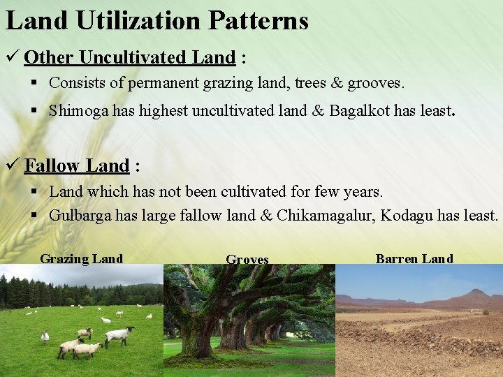 Land Utilization Patterns ü Other Uncultivated Land : § Consists of permanent grazing land,