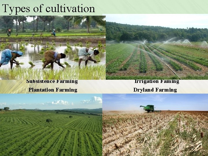 Types of cultivation Subsistence Farming Plantation Farming Irrigation Faming Dryland Farming 