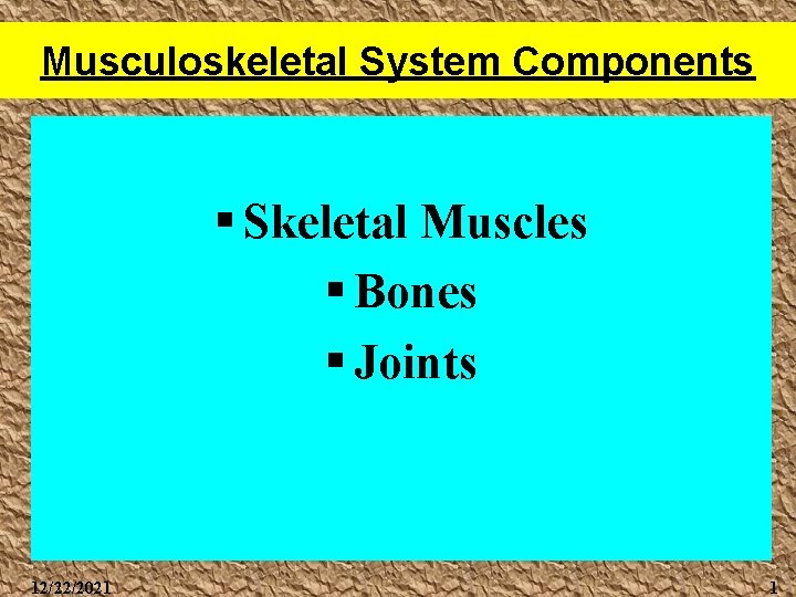 Musculoskeletal System Components § Skeletal Muscles § Bones § Joints 12/22/2021 1 