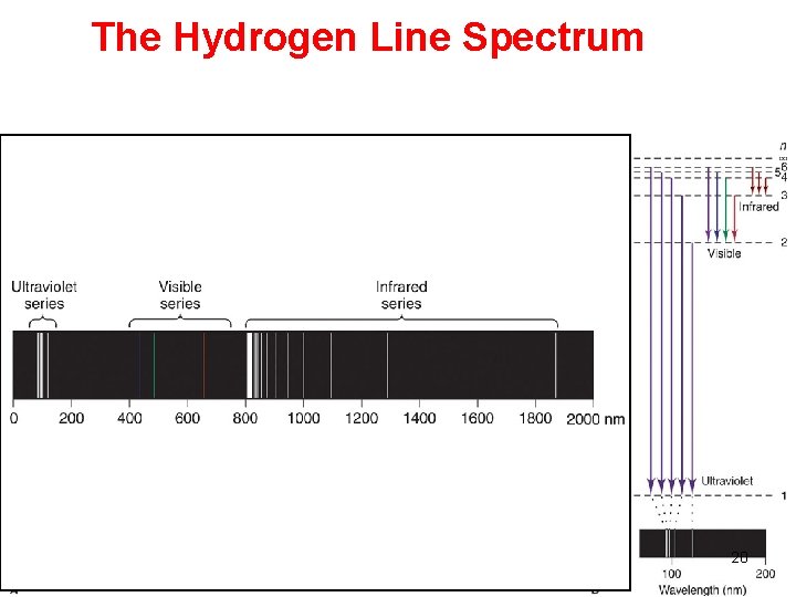 The Hydrogen Line Spectrum 20 