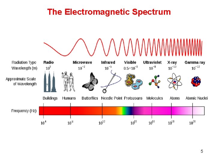 The Electromagnetic Spectrum 5 