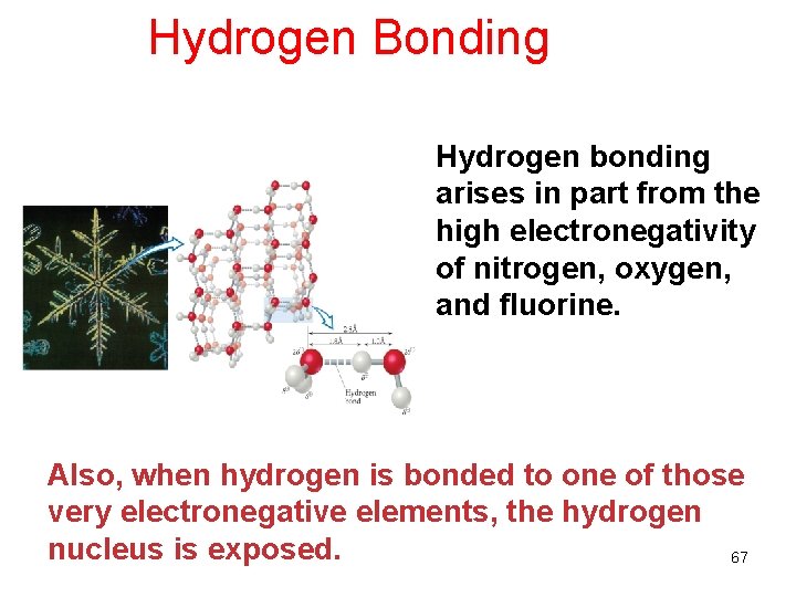 Hydrogen Bonding Hydrogen bonding arises in part from the high electronegativity of nitrogen, oxygen,