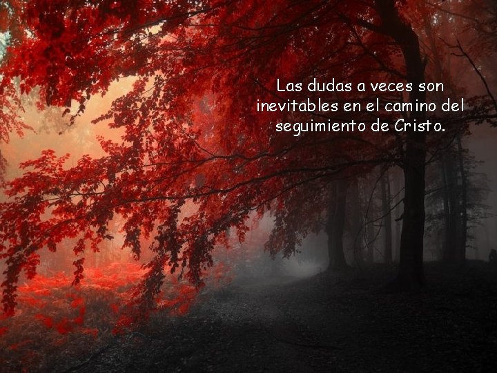 Las dudas a veces son inevitables en el camino del seguimiento de Cristo. 