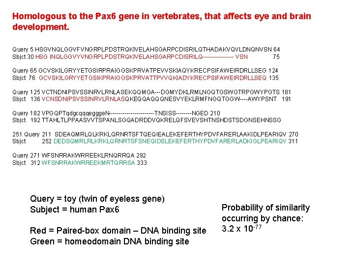 Homologous to the Pax 6 gene in vertebrates, that affects eye and brain development.