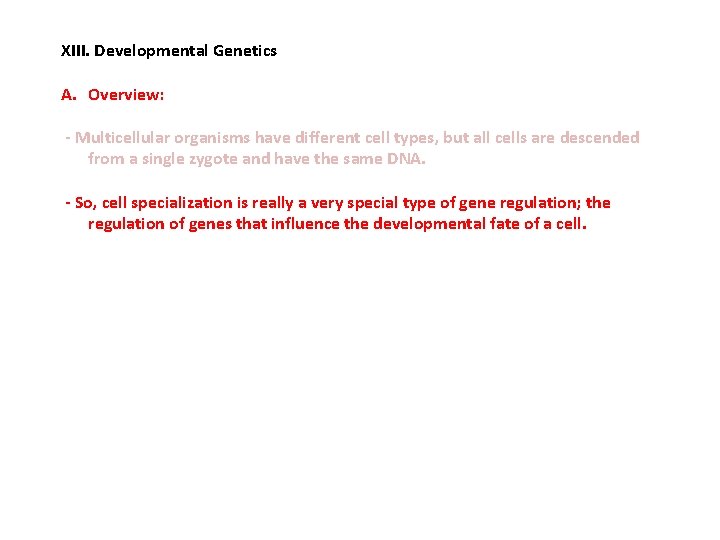 XIII. Developmental Genetics A. Overview: - Multicellular organisms have different cell types, but all