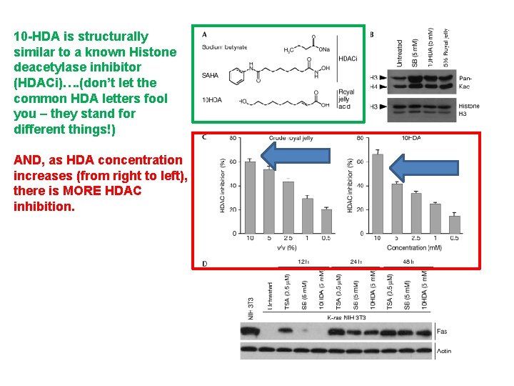 10 -HDA is structurally similar to a known Histone deacetylase inhibitor (HDACi)…. (don’t let