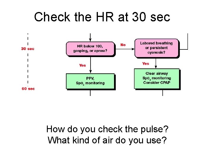 Check the HR at 30 sec How do you check the pulse? What kind