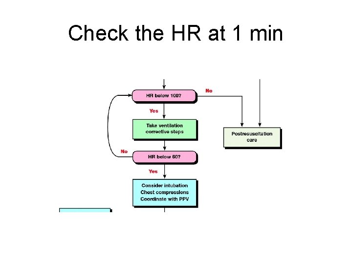 Check the HR at 1 min 