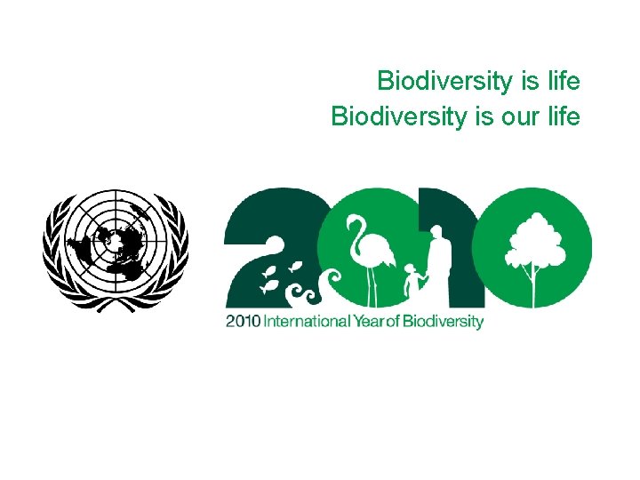 Biodiversity is life Biodiversity is our life 