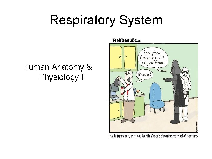 Respiratory System Human Anatomy & Physiology I 