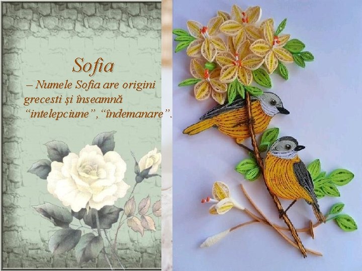 Sofia – Numele Sofia are origini grecesti și înseamnă “intelepciune”, “îndemanare”. 