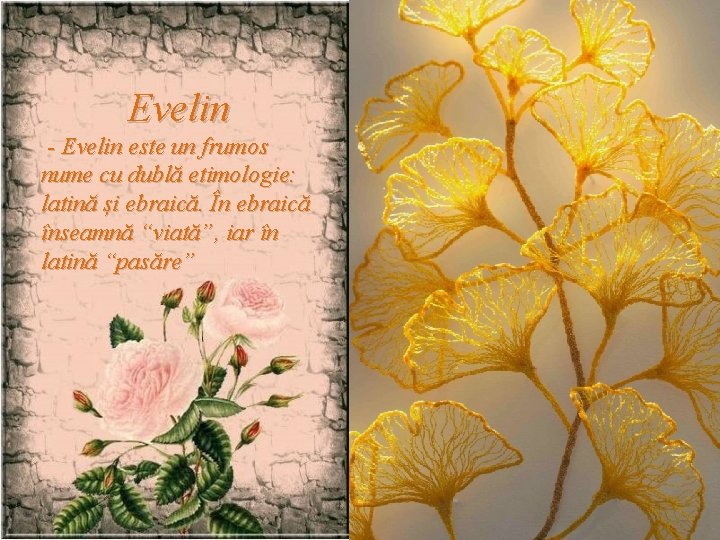 Evelin - Evelin este un frumos nume cu dublă etimologie: latină și ebraică. În