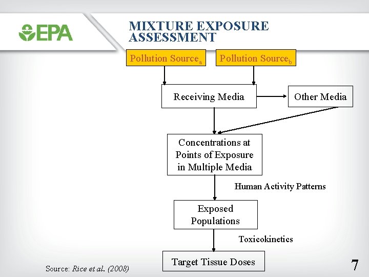 Chemical Mixtures Health Risk Assessment of Environmental Contaminants