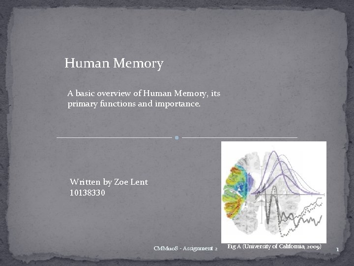 Human Memory A basic overview of Human Memory, its primary functions and importance. Written