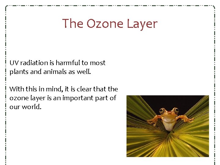 The Ozone Layer UV radiation is harmful to most plants and animals as well. The Ozone Layer UV radiation is harmful to most plants and animals as well.