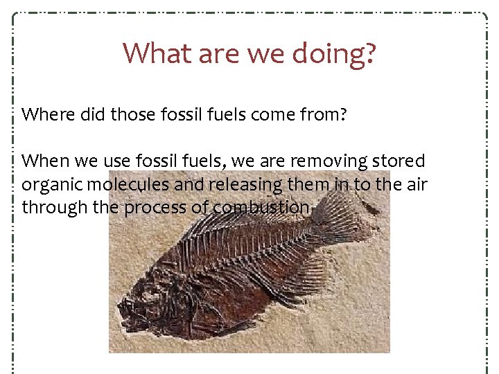 What are we doing? Where did those fossil fuels come from? When we use What are we doing? Where did those fossil fuels come from? When we use