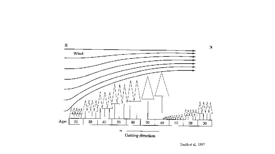 Smith et al, . 1997 