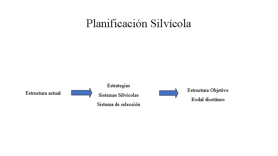 Planificación Silvícola Estrategias Estructura actual Sistemas Silvícolas Sistema de selección Estructura Objetivo Rodal disetáneo