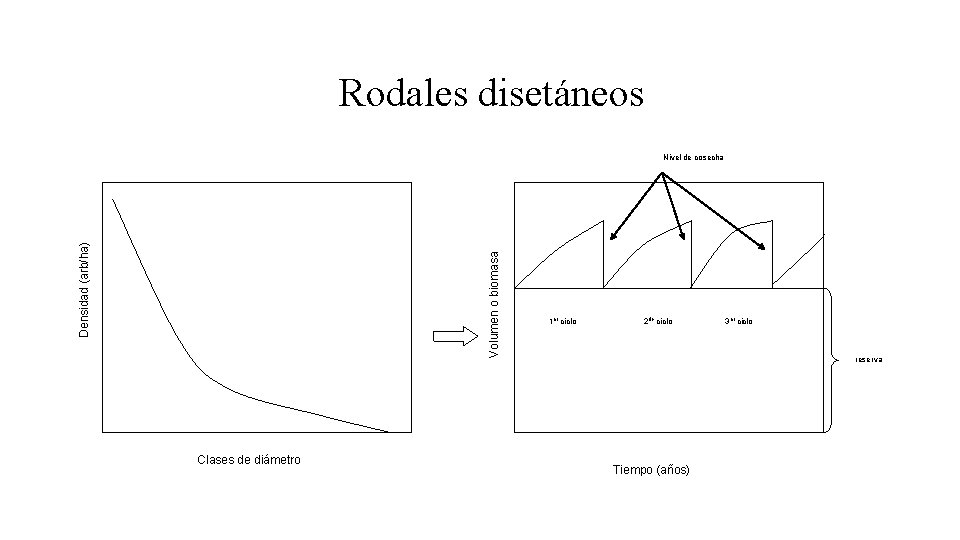 Rodales disetáneos Volumen o biomasa Densidad (arb/ha) Nivel de cosecha Clases de diámetro 1