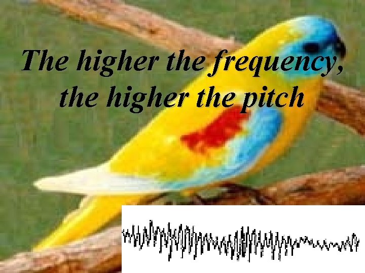 The higher the frequency, the higher the pitch The higher the frequency, the higher the pitch