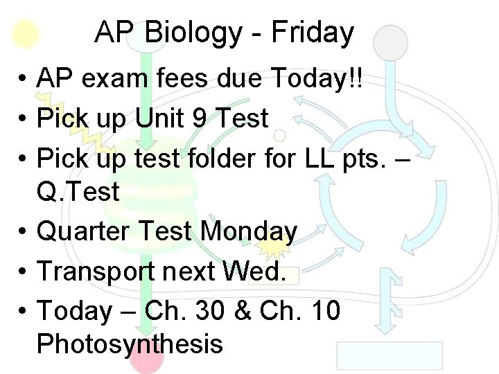 AP Biology - Friday • AP exam fees due Today!! • Pick up Unit