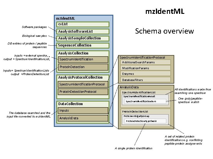 Software packages mz. Ident. ML cv. List Schema overview Analysis. Software. List Biological samples