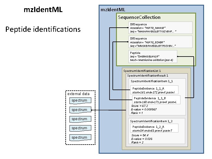 mz. Ident. ML Sequence. Collection Peptide identifications DBSequence Accession = “HSP 7 D_MANSE” Seq