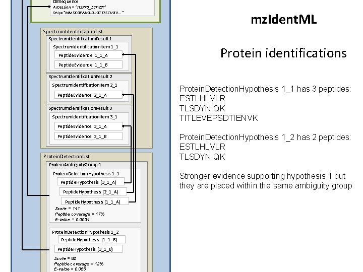 DBSequence Accession = “HSP 70_ECHGR” Seq =“MMSKGPAVGIDLGTTFSCVGV. . . ” mz. Ident. ML Spectrum.