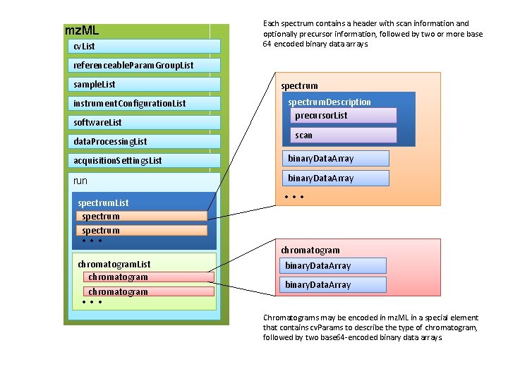 mz. ML cv. List Each spectrum contains a header with scan information and optionally