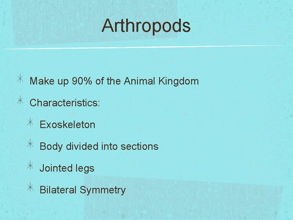 Arthropods Make up 90% of the Animal Kingdom Characteristics: Exoskeleton Body divided into sections