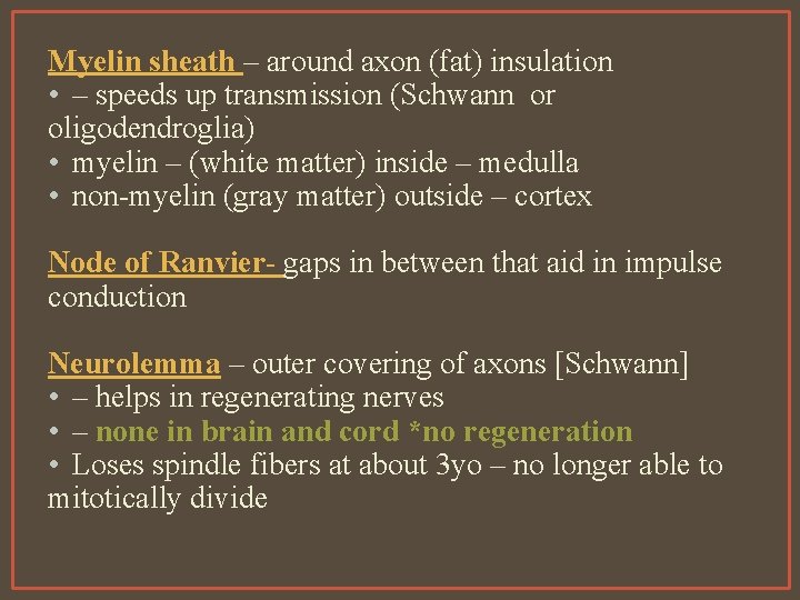 Myelin sheath – around axon (fat) insulation • – speeds up transmission (Schwann or