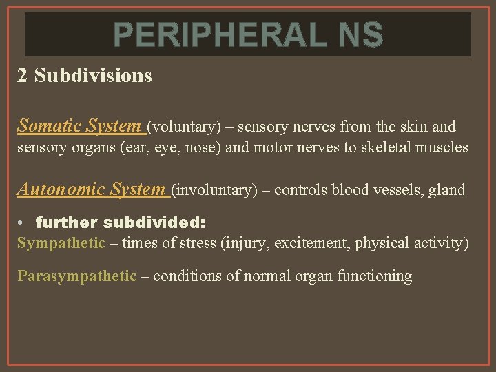 PERIPHERAL NS 2 Subdivisions Somatic System (voluntary) – sensory nerves from the skin and