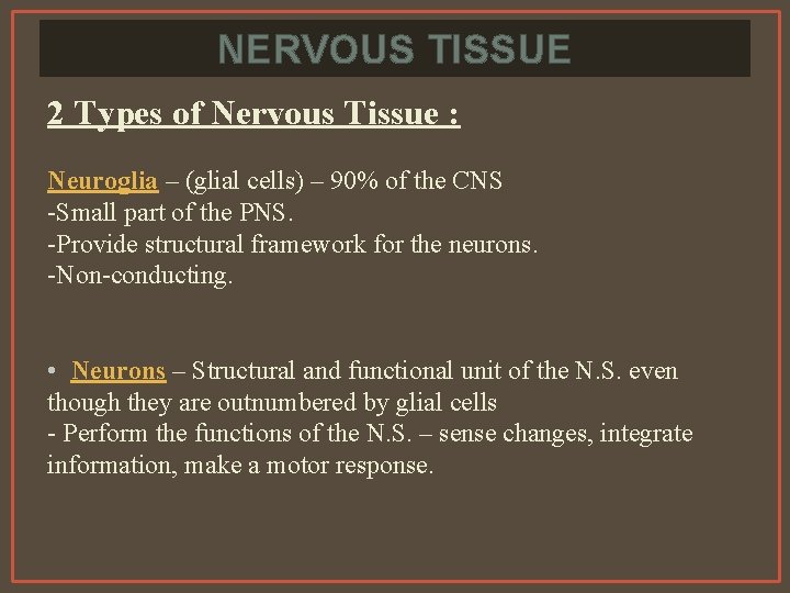 NERVOUS TISSUE 2 Types of Nervous Tissue : Neuroglia – (glial cells) – 90%
