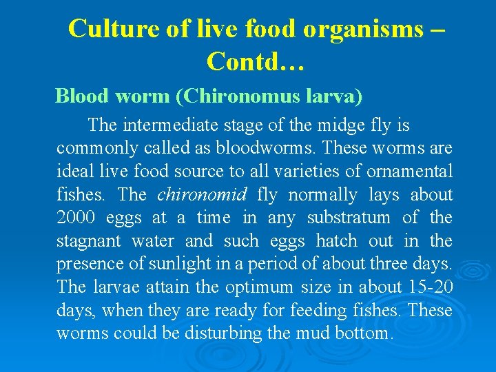 Culture of live food organisms – Contd… Blood worm (Chironomus larva) The intermediate stage