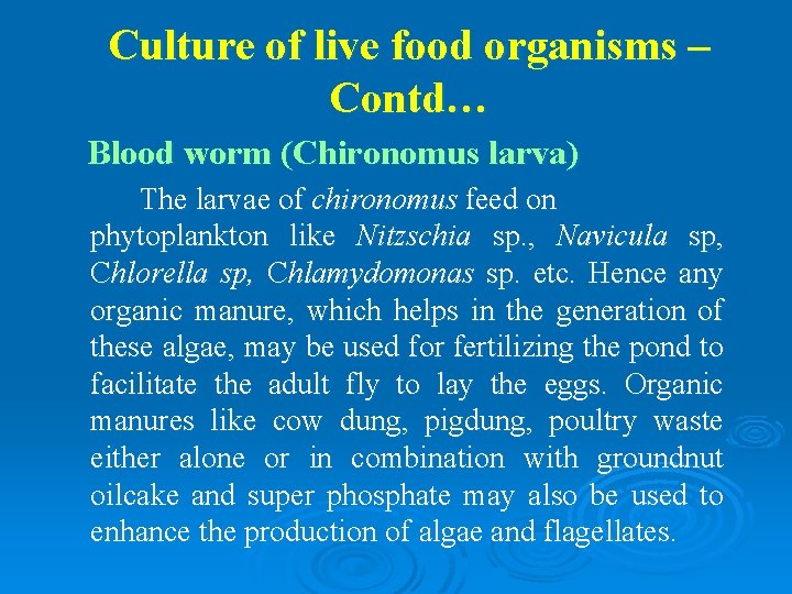 Culture of live food organisms – Contd… Blood worm (Chironomus larva) The larvae of