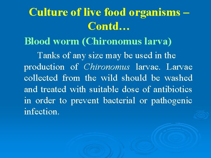 Culture of live food organisms – Contd… Blood worm (Chironomus larva) Tanks of any
