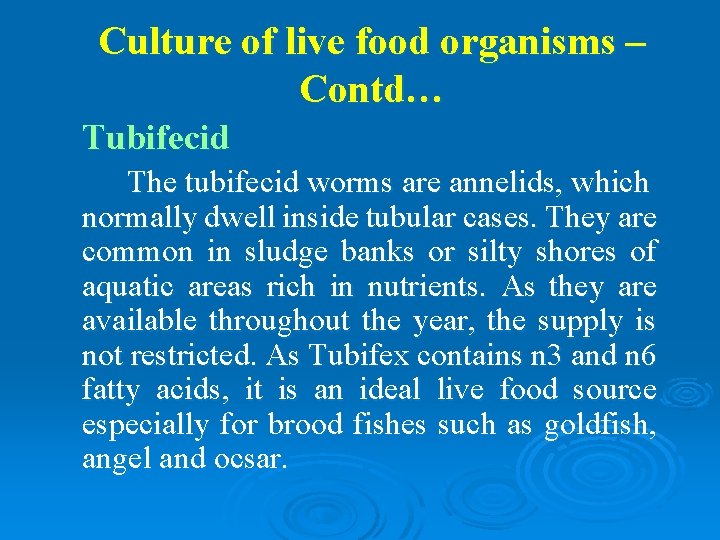 Culture of live food organisms – Contd… Tubifecid The tubifecid worms are annelids, which