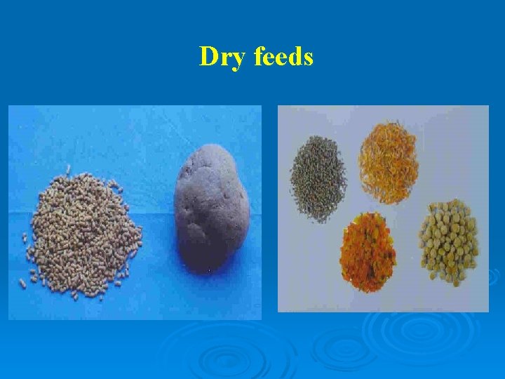 Dry feeds 