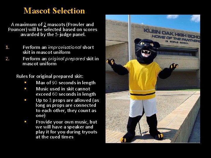 Mascot Selection A maximum of 2 mascots (Prowler and Pouncer) will be selected based