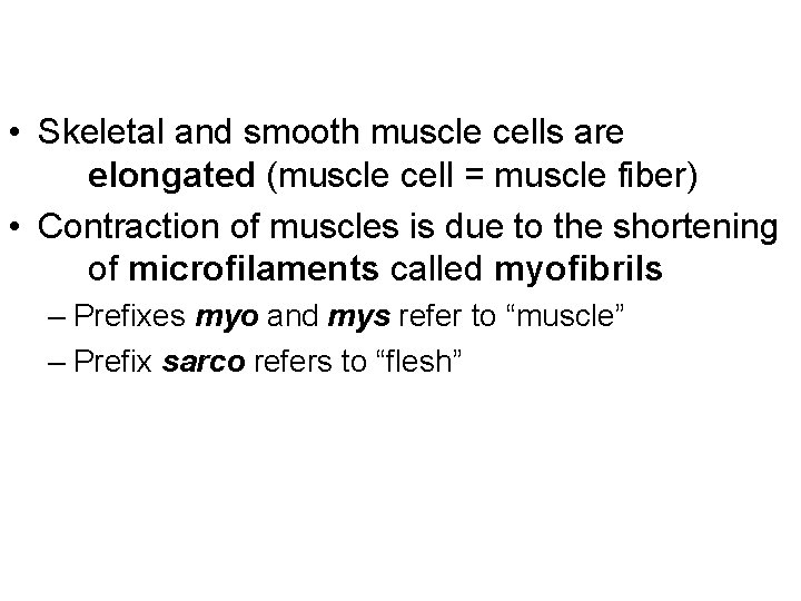  • Skeletal and smooth muscle cells are elongated (muscle cell = muscle fiber)