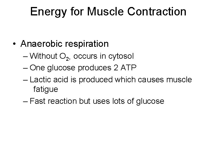 Energy for Muscle Contraction • Anaerobic respiration – Without O 2, occurs in cytosol